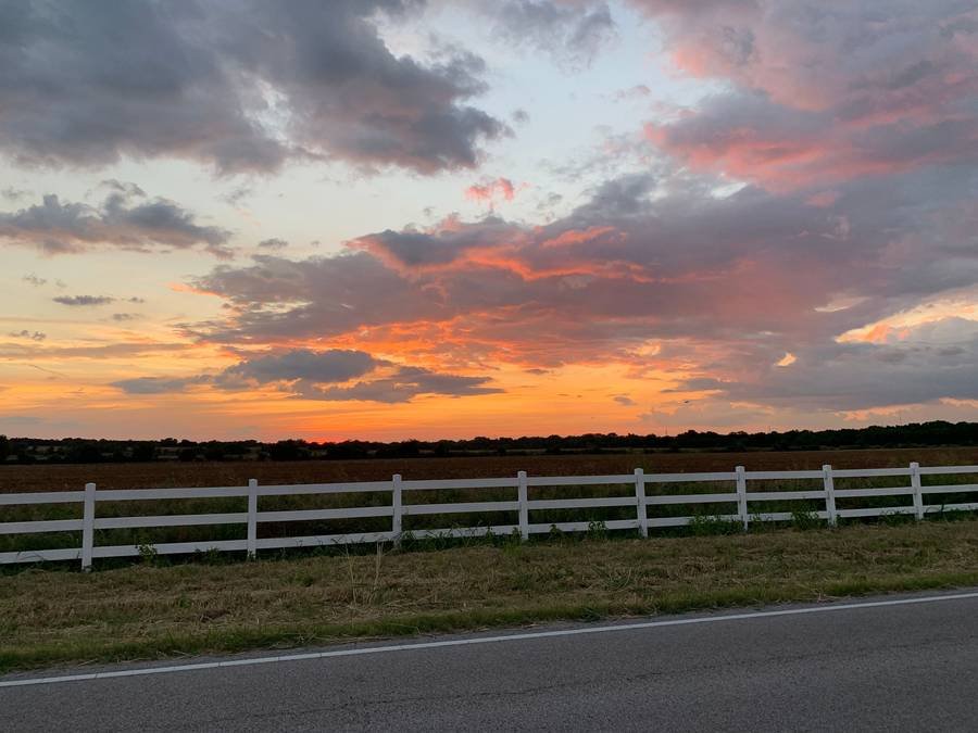 A Texas pasture at sunset behind a white fence